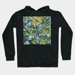 Cataract Falls Hoodie